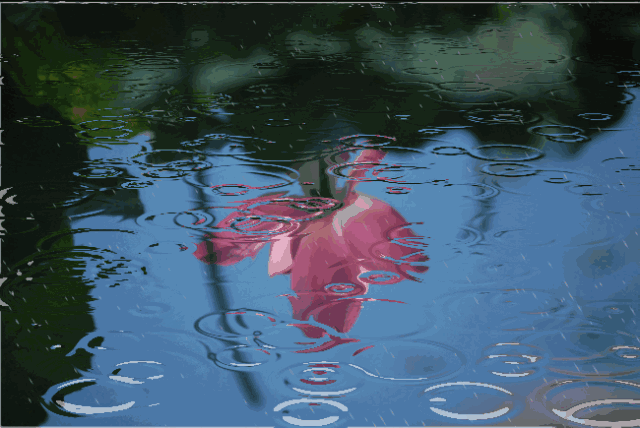 我喜欢春雨作者高秀军朗诵咖啡瑛