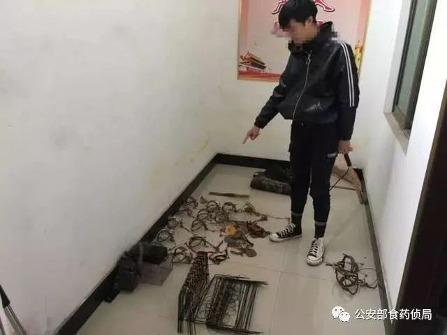 8万只!公安机关严打非法捕猎野生动物活动