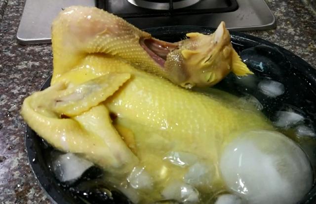 "鸡"祥如意年夜菜:广式白切鸡家常做法,皮脆肉嫩蘸料也告诉你_广东