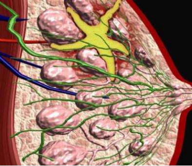 乳房隐隐作痛还有肿块,忍一忍就算了?乳腺结节这种情况可不能忍