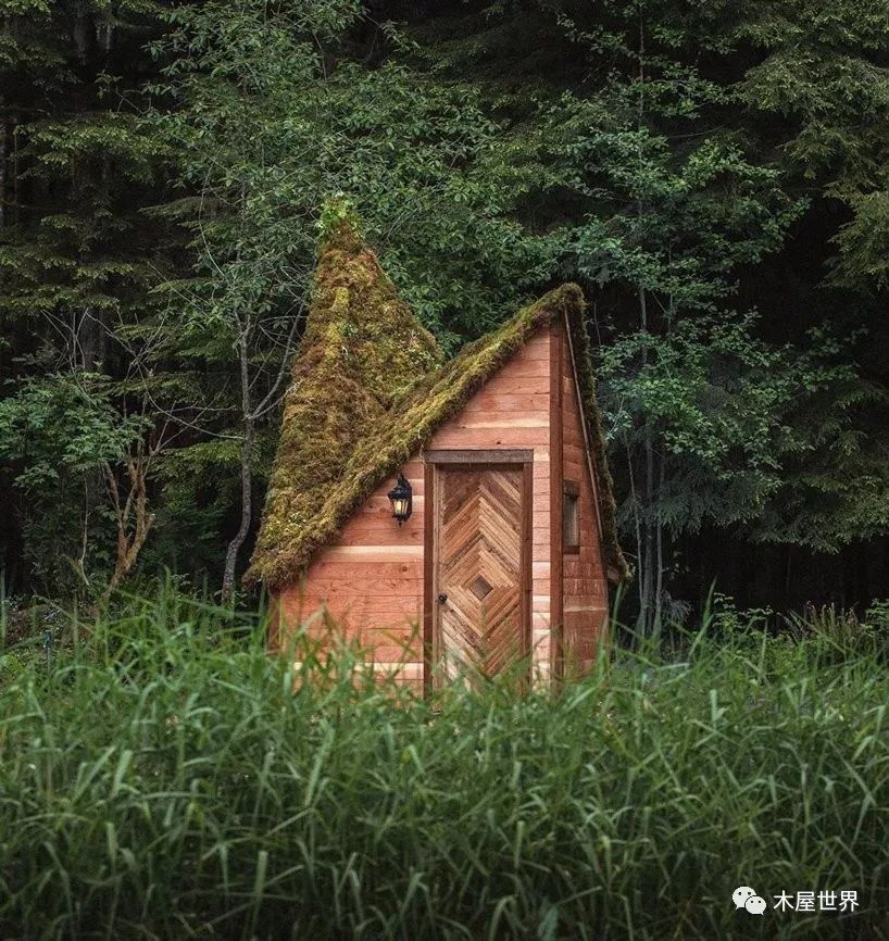 梦幻般的森林小木屋_小屋
