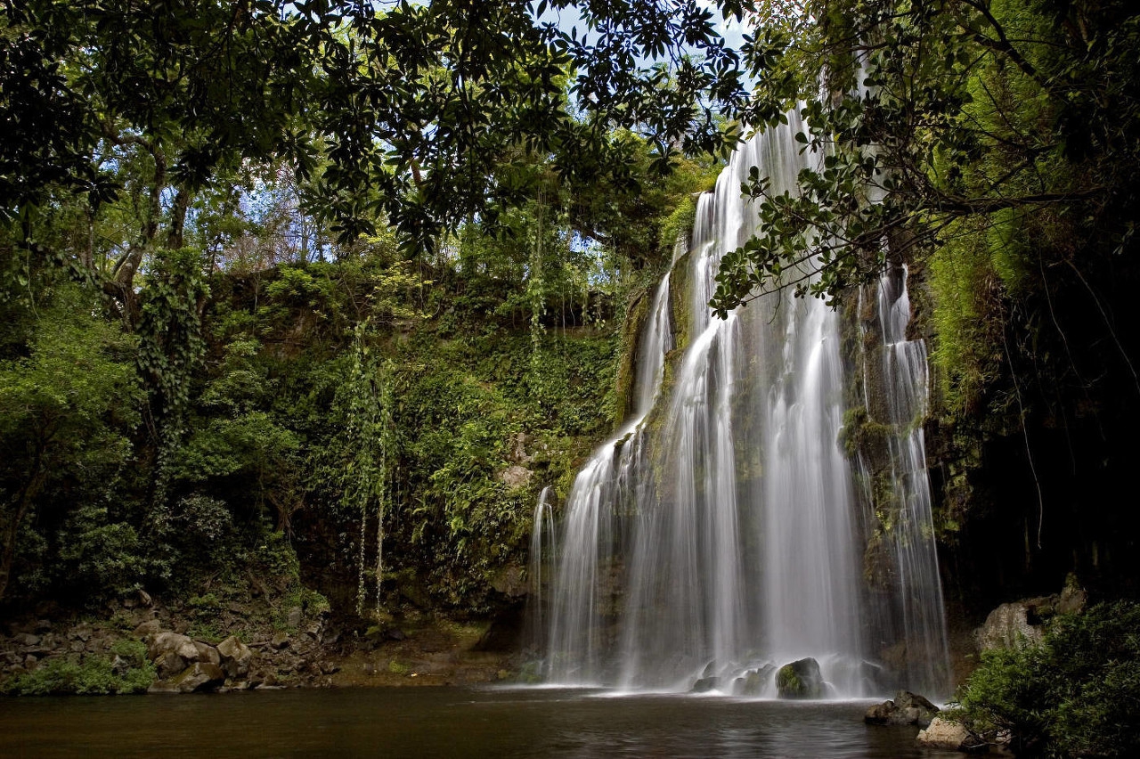 金光湖被誉为闽南的西双版纳林海茫茫野生动植物品种繁多