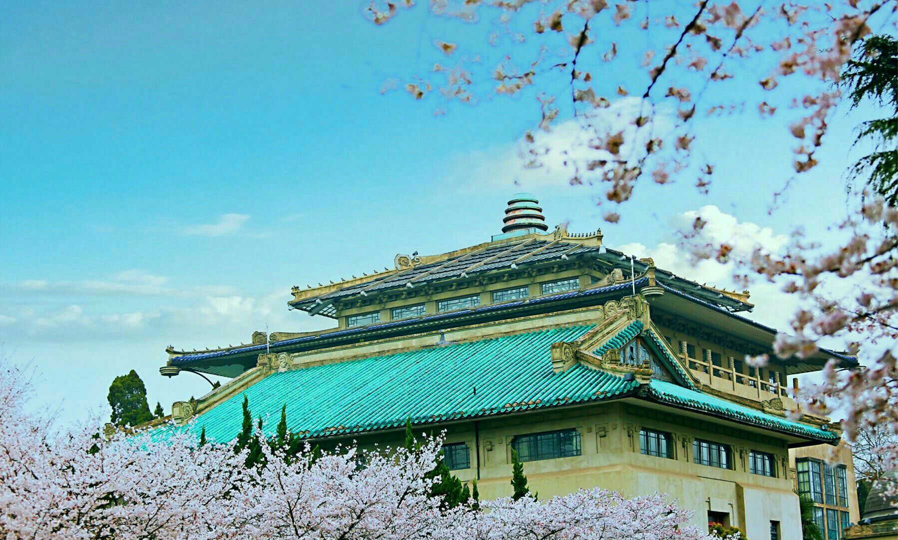 近年来,武大的樱花名声远扬,校园内主要赏樱地点有:樱花城堡,樱花大道