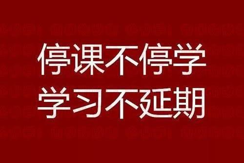 被学生老师骂火了的钉钉惨遭下架钉钉官方这样回应