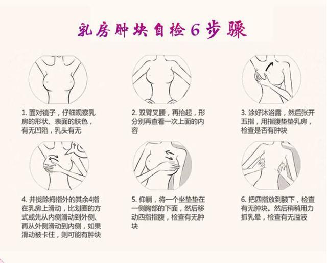 左乳房2点钟位置图片图片