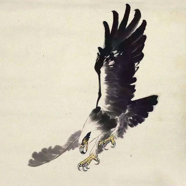 干货难得一见的鹰结构线稿画法全部画一遍学会画鹰很简单