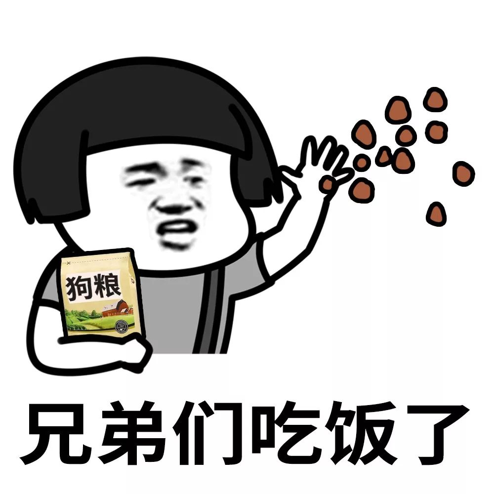 大伙儿看过来啦今天的狗粮管够哈
