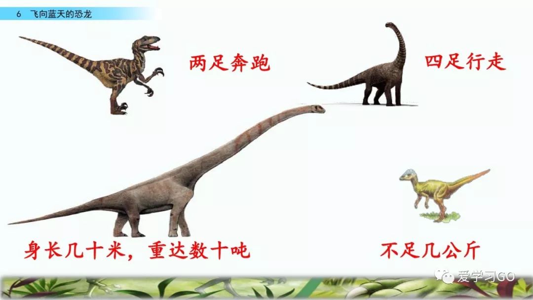 部编版四年级下册第6课飞向蓝天的恐龙图文讲解知识点梳理