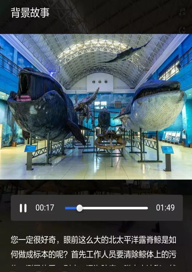 抗击疫情足不出户大连自然博物馆邀您线上vr语音导览看展
