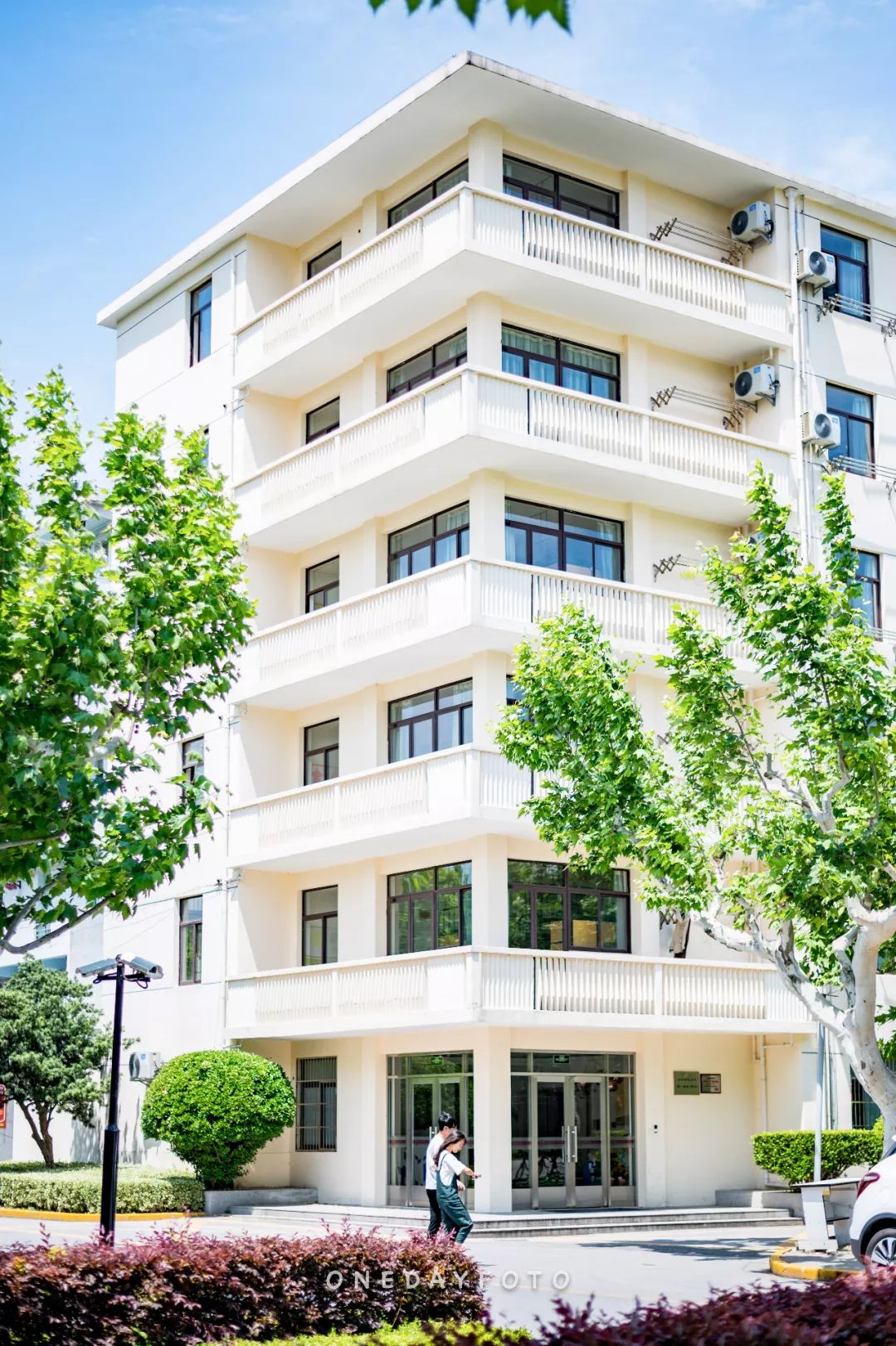 告别旧景树木蓊郁 乐声悠扬笑着打量骄阳下军训的"树苗"绿藤依偎着