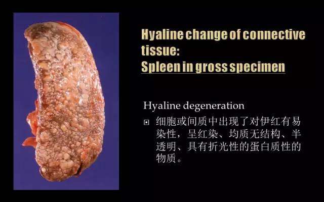 病理学大体标本库