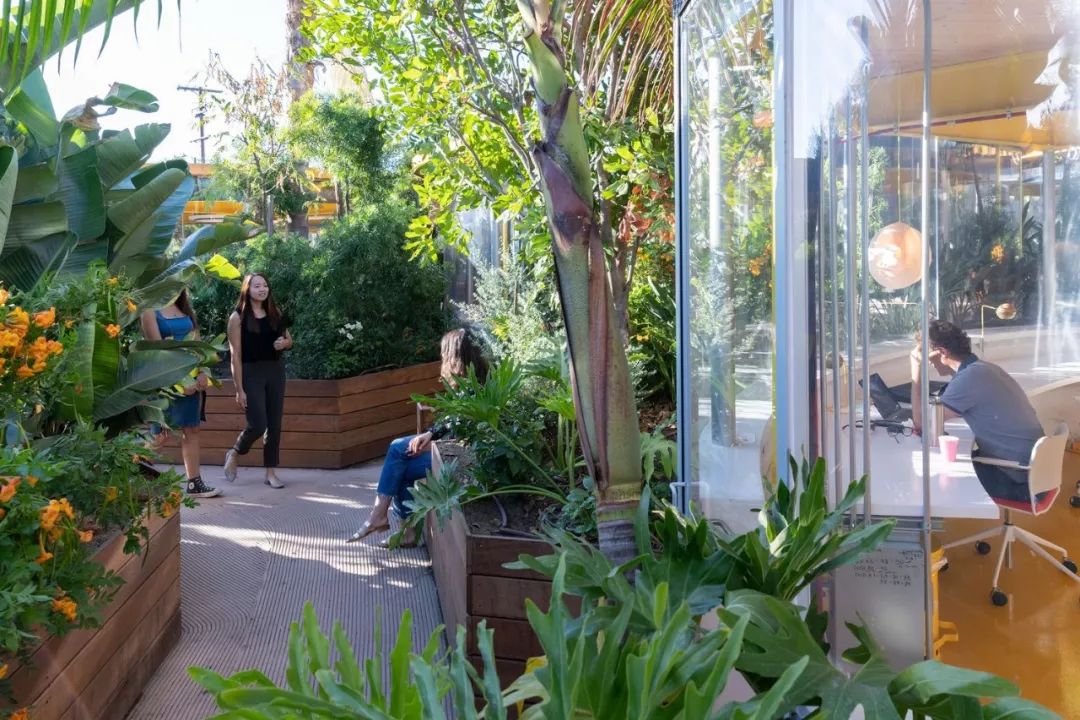 这样的花园式办公360都是自然风景