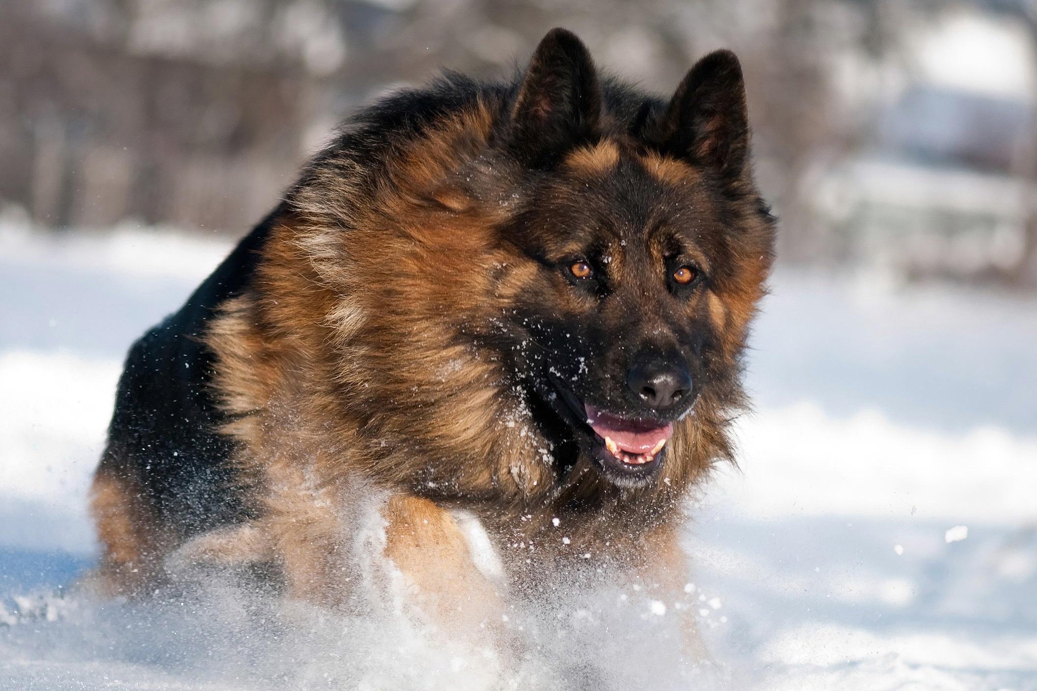 一寸虫奇闻的个人展示页