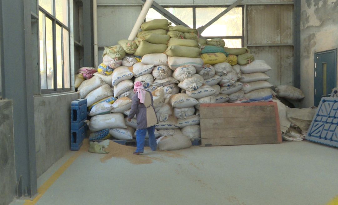 台江县排羊乡:疫情防控紧 米厂复工忙