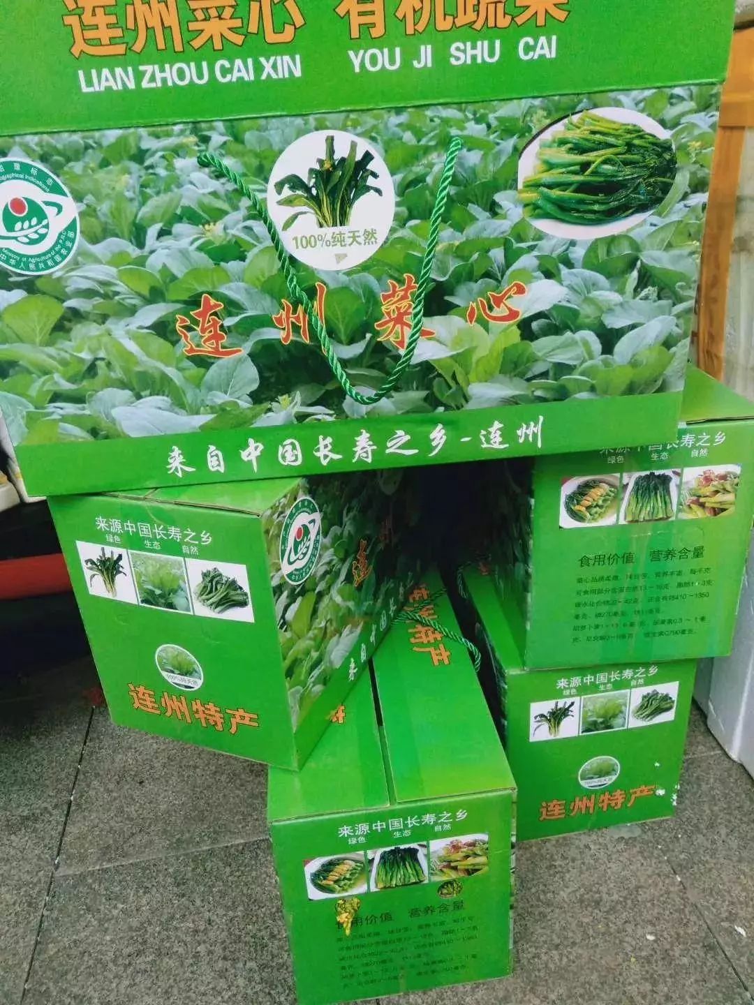 超甜正宗连州菜心爽脆清甜基地现摘现发包邮上门
