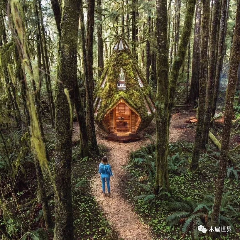 梦幻般的森林小木屋