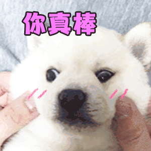 夸某人厉害的表情包gif这也太厉害了不愧是我的狗