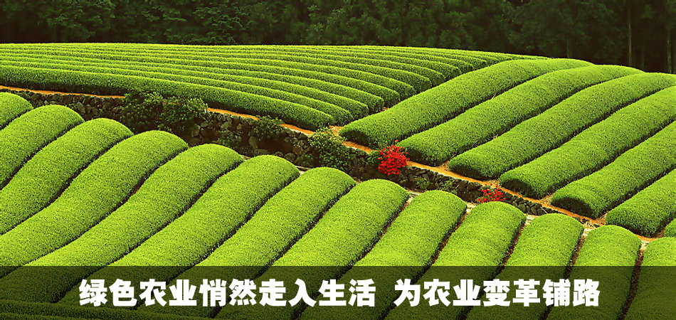 2020年有关绿色农业的实施意见