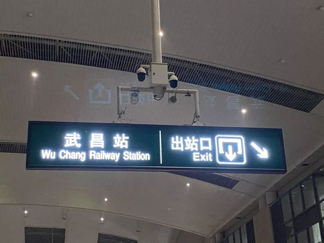 她说:待武大樱花盛开,人头攒动,我想和你一起去感受那原本的浪漫_武汉