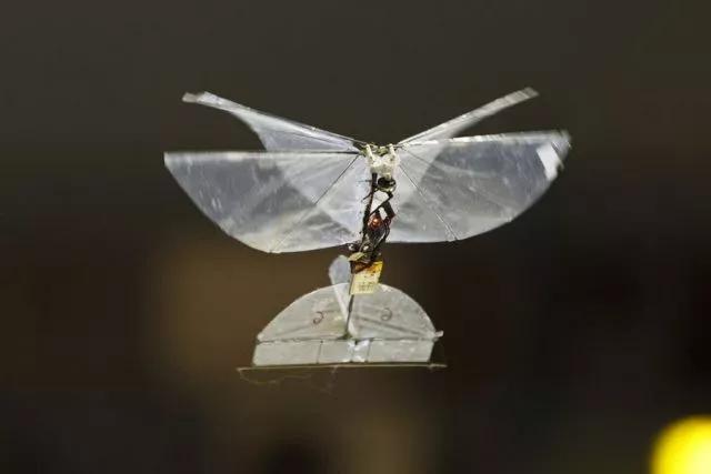 扑翼机真正能够挥动翅膀的飞行器