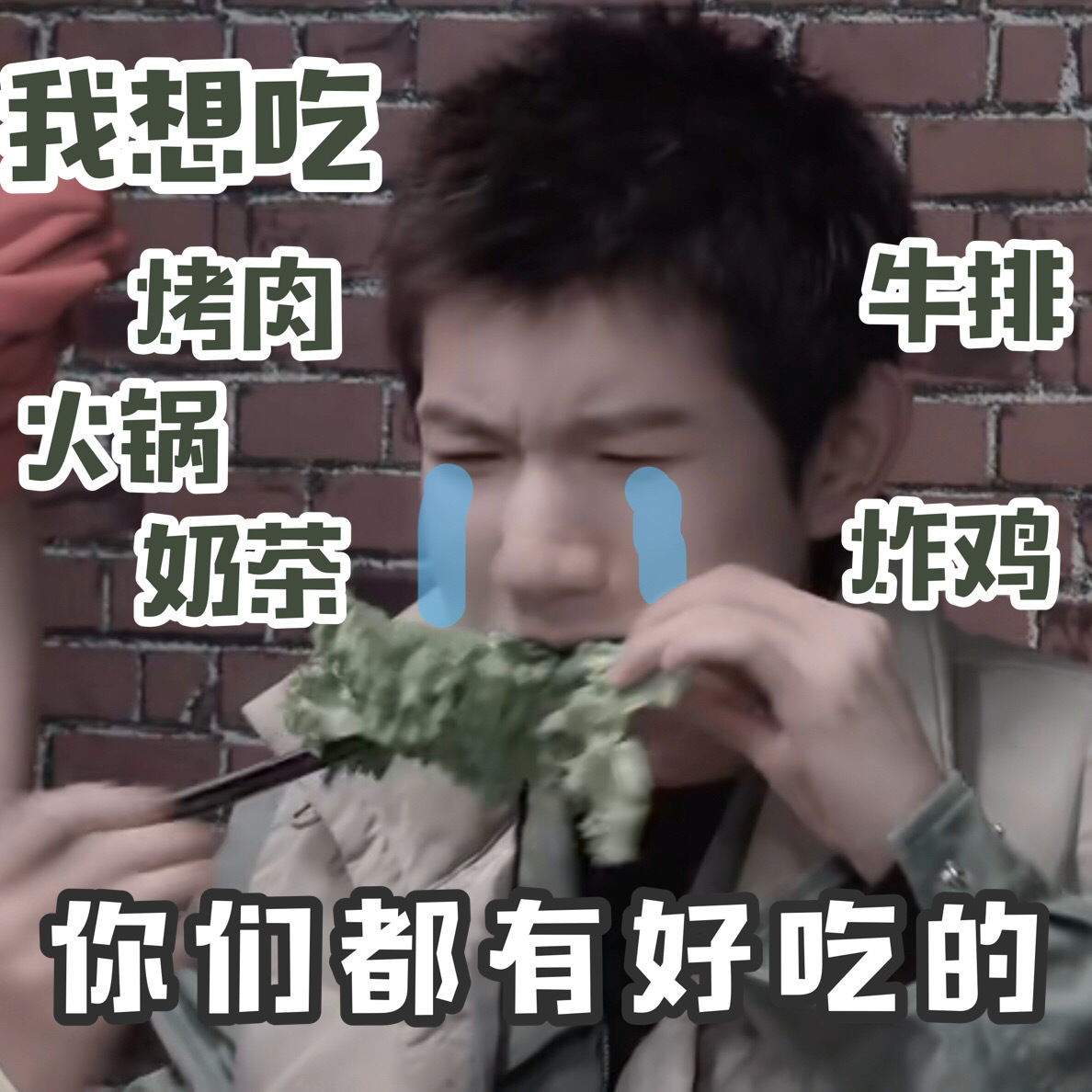 饭制王源暴风哭泣系列表情包 献给宅在家想出去的大家