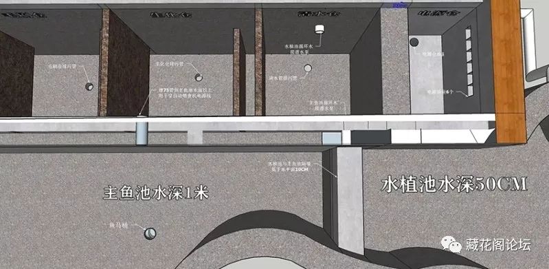 全程记录建一座梦想中的英式花园卡缤的小院2