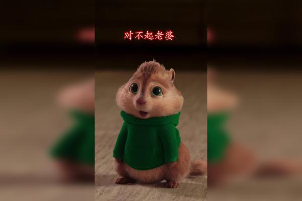 对不起老婆我不应该耍小脾气惹你生气你的小可爱在线求原谅对不起