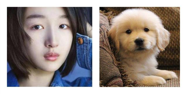 原创戴口罩不用化妆错这三种明星眼妆一定要get好看时髦