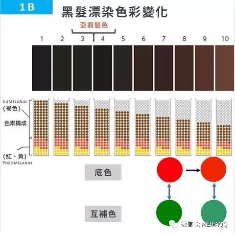 发色1到10度色度图表图片