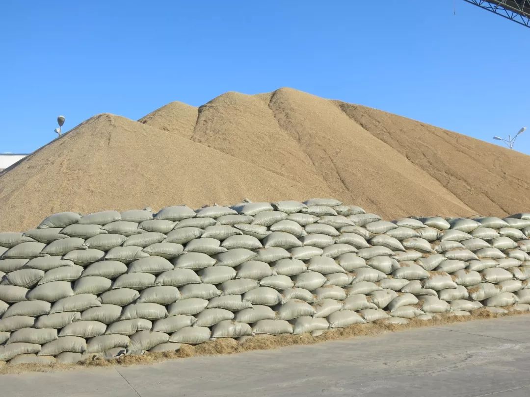 央视直击现场新冠疫情下的富尔农艺