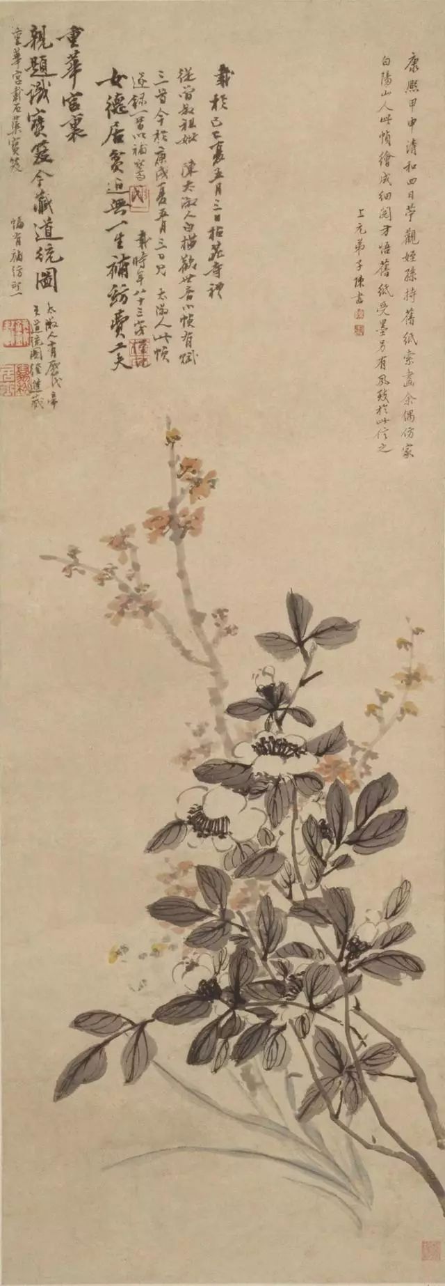 清代女画家陈书:讲求笔情墨韵的文人写意画!