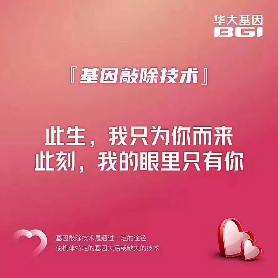 这是什么话丨生物学情话