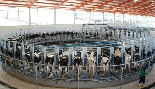 农业农村部:力争到2025年畜牧业机械化率总体达50%以上