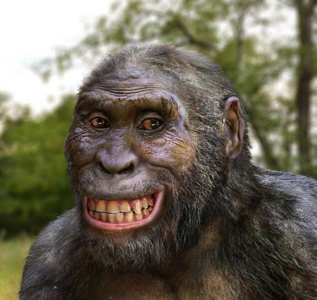 动物为什么有尾巴,猿类为什么没尾巴牛羊马的尾巴能用来驱赶蚊虫,松鼠