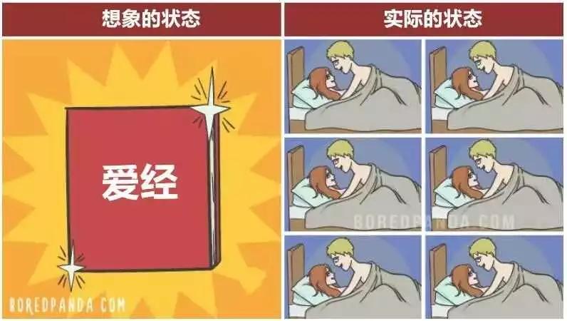 奇趣漫画:浪漫的男女关系在现实生活是不存在的