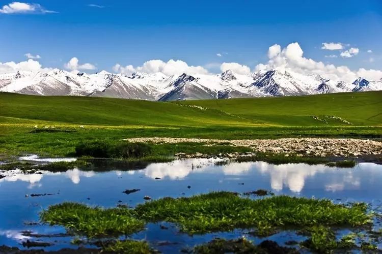 天然氧吧是旅游景区的噱头