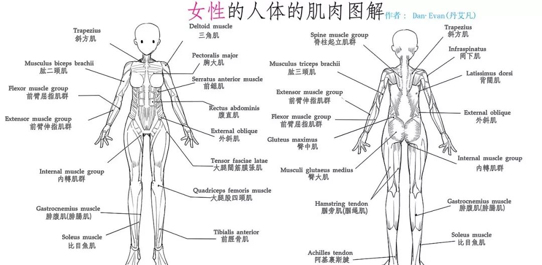 48岁跟胡歌姐弟恋身材秒杀半个娱乐圈不怕男人心狠就怕你对自己手软