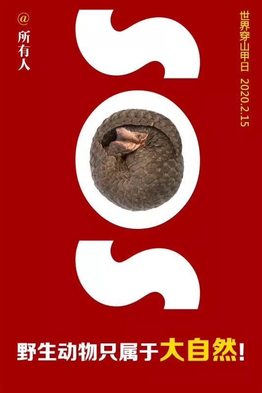 世界穿山甲日远离即保护