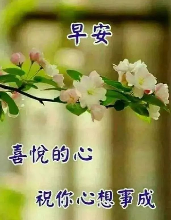 週日早晨好動態圖表情 問候早晨好動態圖片_祝福