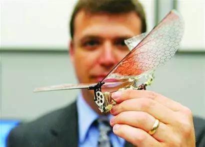 扑翼机真正能够挥动翅膀的飞行器