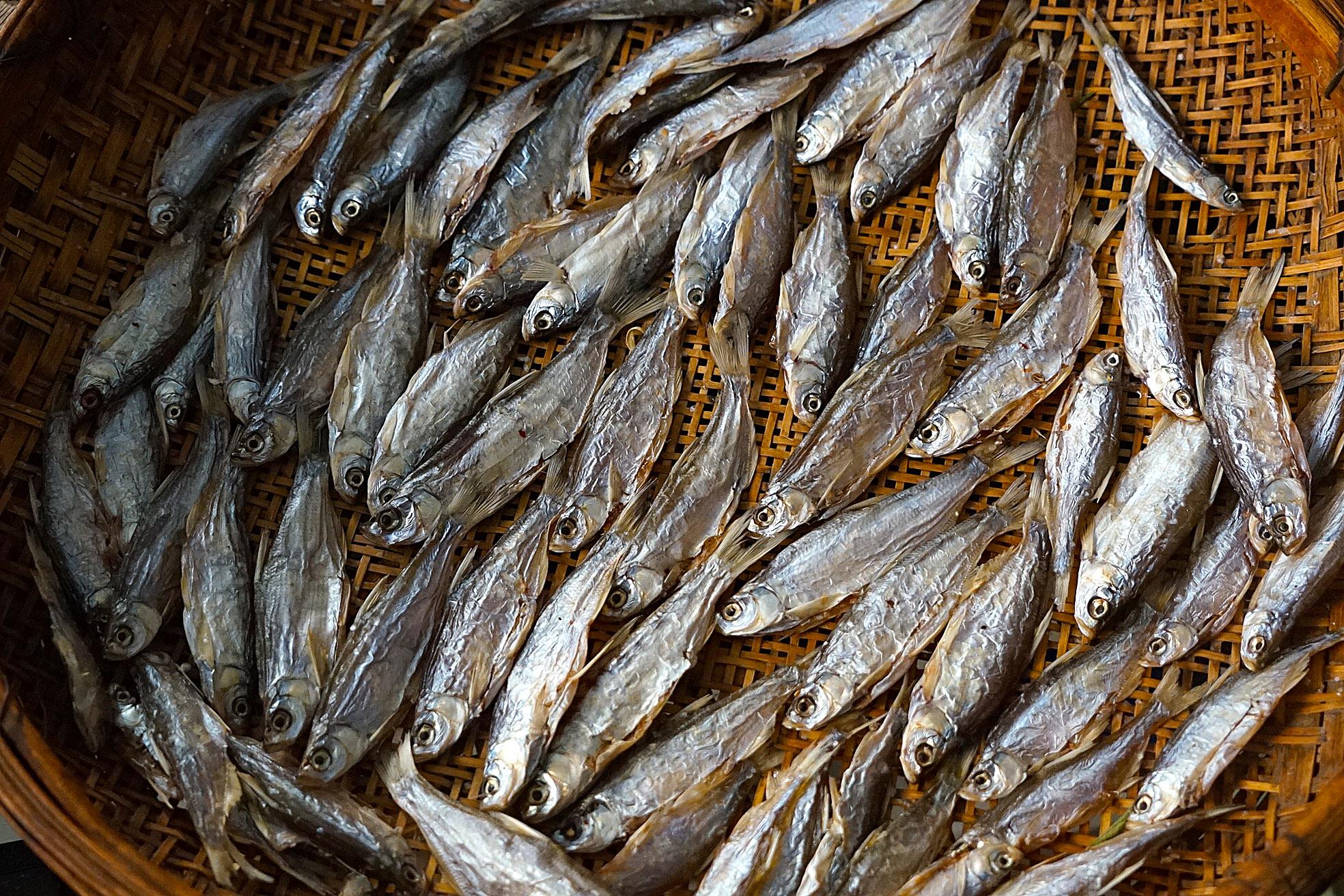 原创这鱼才5元1斤腌过之后和豆子熬比肉还香一家三口馋到流口水