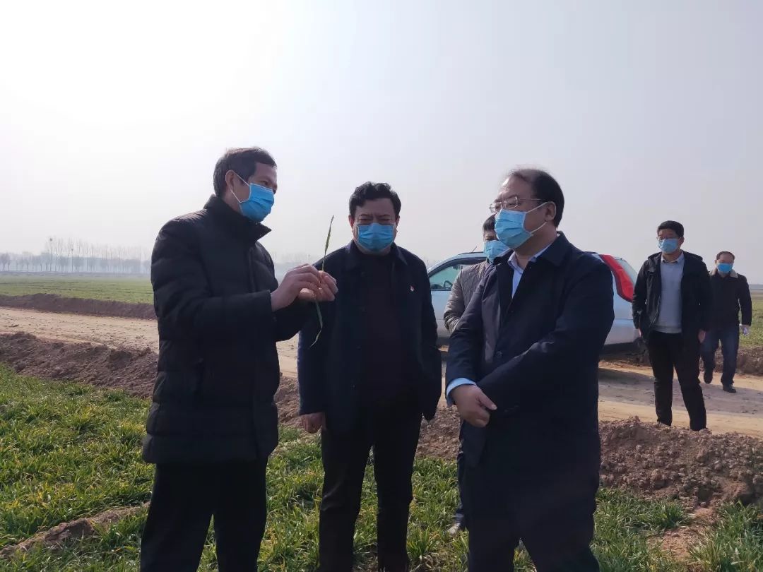 2020年02月13日:延津新闻