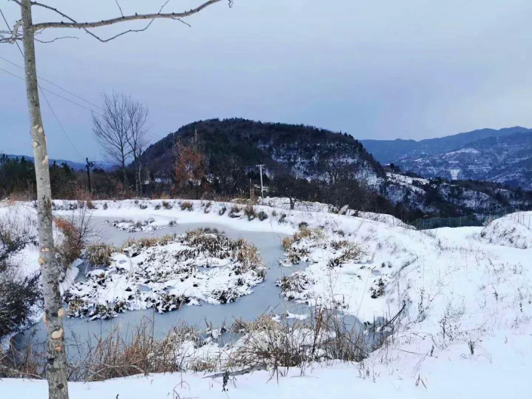 绝对美到令你尖叫接下来江小妹就奉上一大波雪景图大家只能在家呆着