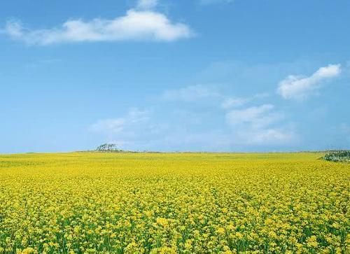 1月5号,好运到来,贵人相助,事业顺遂的3大星座!