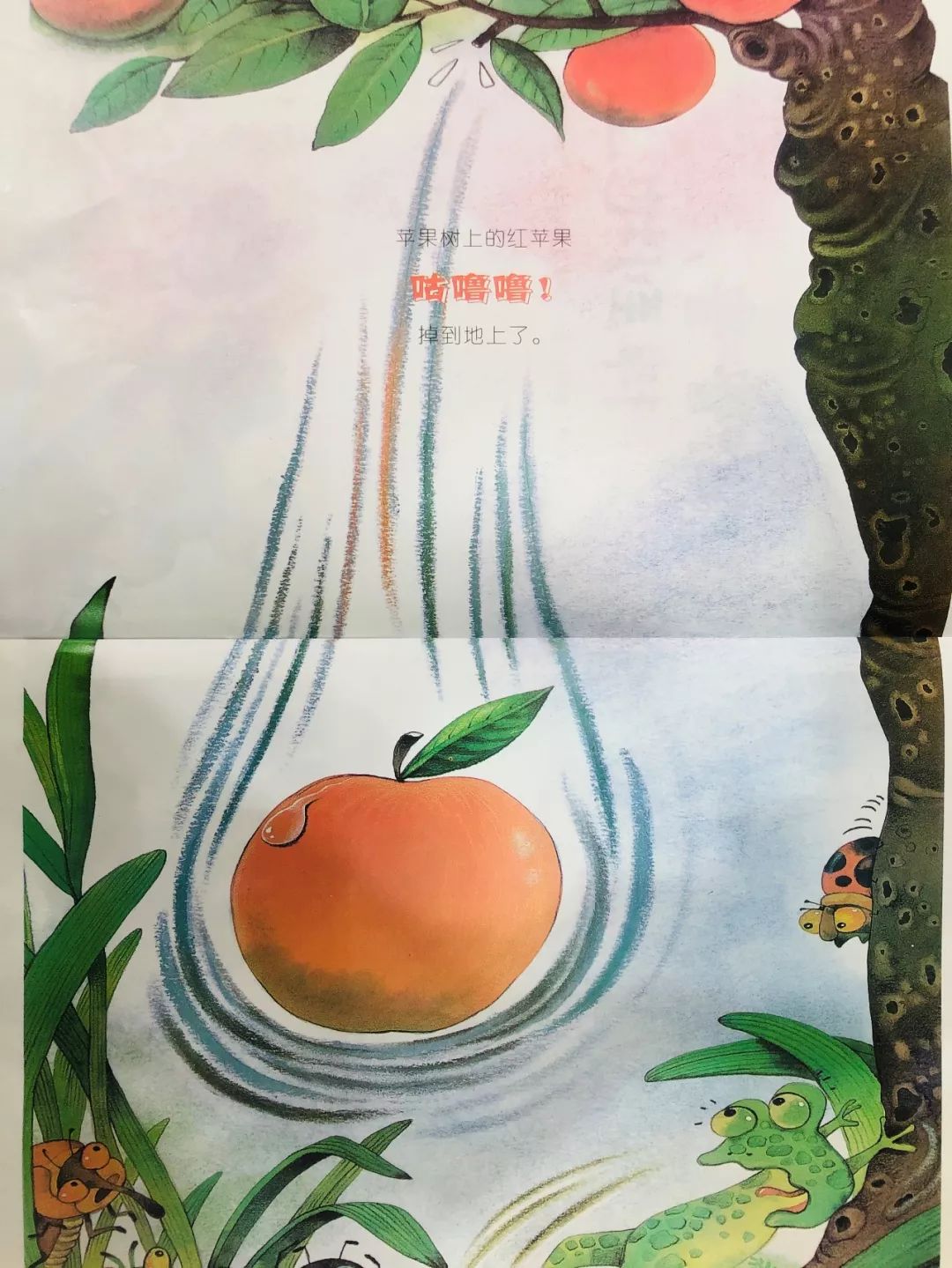 重力向下吸引降落伞,但是降落伞下方的空气阻力会