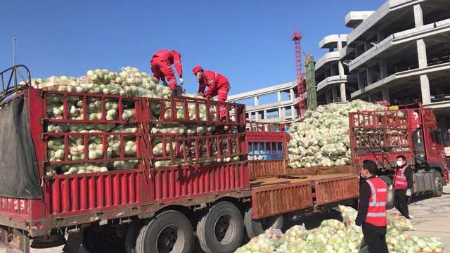 邓州救援队25.4吨蔬菜助力打赢抗疫攻坚战