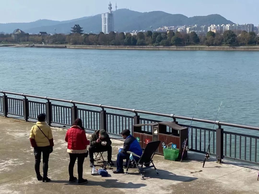 2020年2月5日摄于浪琴湾小区.