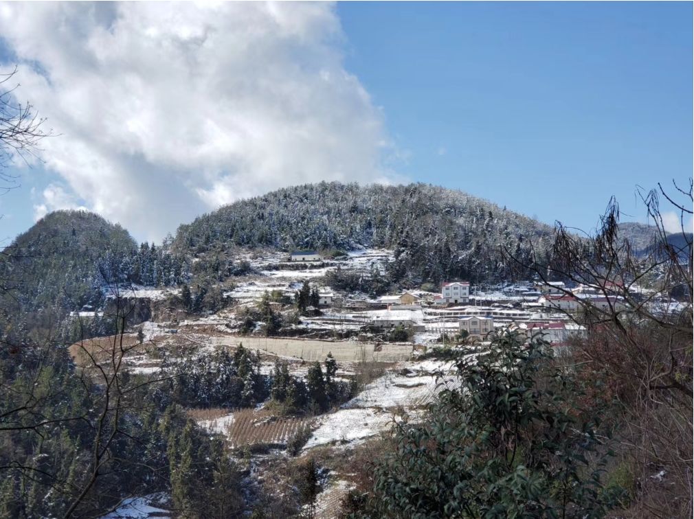 讓整個兩河口鎮銀裝素裹一場悄然而至的降雪隨著各地寒潮的再一次降臨