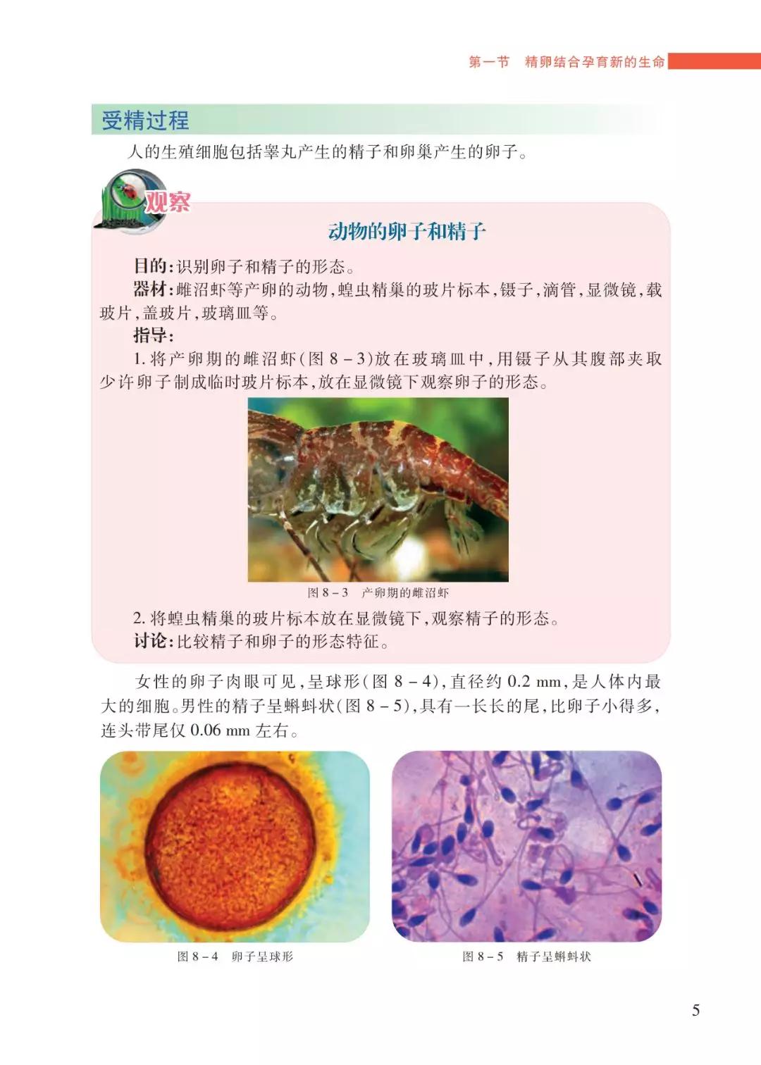 蘇教版七年級生物下冊電子課本(高清版)