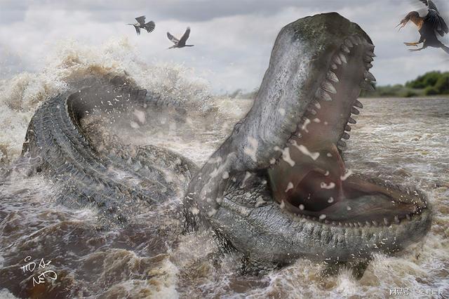 历史上最大的龟体长5米比大象还重龟背上坐人完全没问题